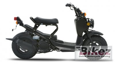 2007 honda ruckus photo